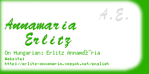 annamaria erlitz business card